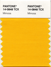 Galben Mimosa: Pantone 14-0848